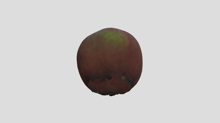 apple 3D Model