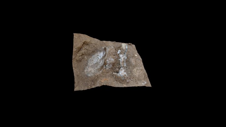 Insitu Pewter Chalice, Thornton Abbey 3D Model
