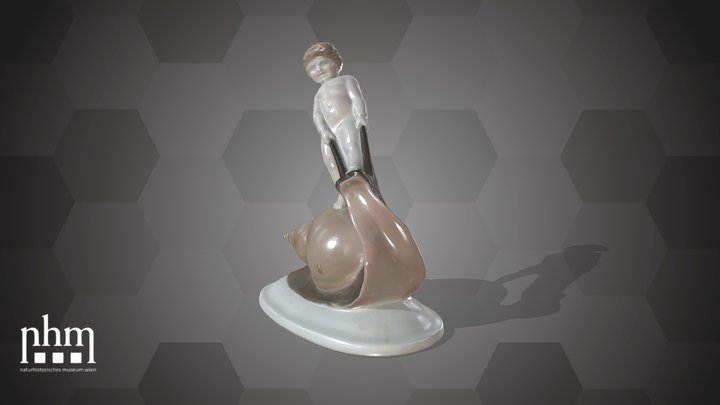 Schneckenreiter (NHMW-ZOO-MO-0081100-ETH-005) – Free 3D Model STL