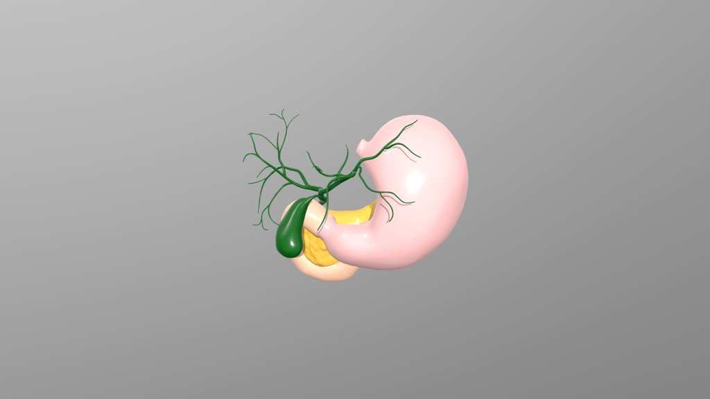 Encrucijada bilio-pancreato-duodenal