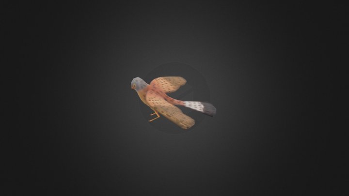 eagle 3D Model