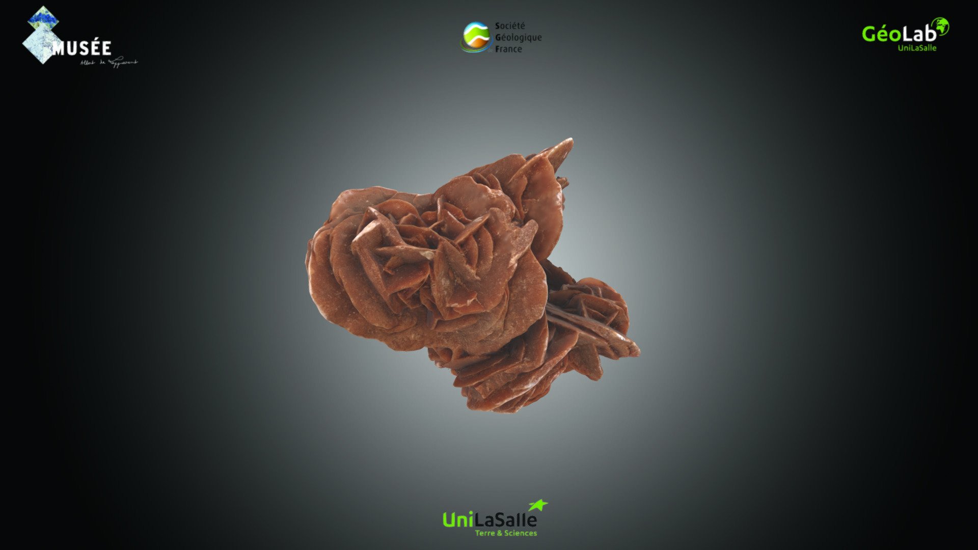 Mineral - Rose des sables