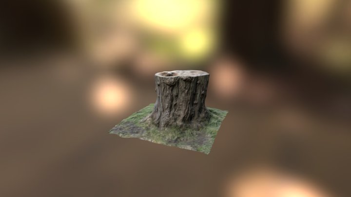 Photogrammetery Tree Trunk (Game model) 3D Model