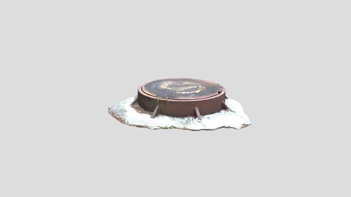Manhole Cover 3D Model