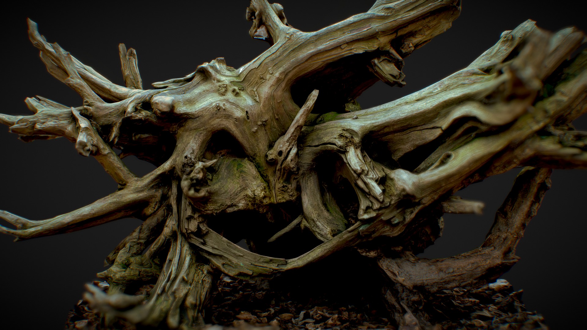 3D model Roots 3 - This is a 3D model of the Roots 3. The 3D model is about a close up of a tree branch.