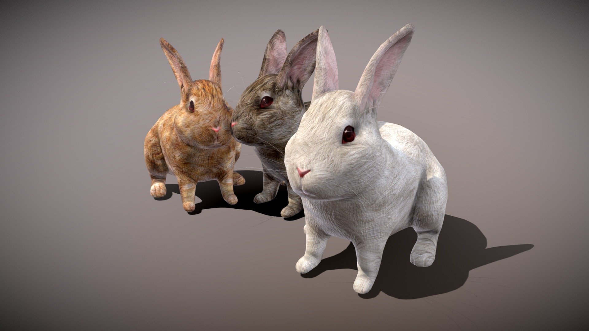 Rabbit Lovely Rabbit Three Only - Buy Royalty Free 3D Model By ...