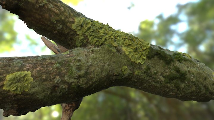 mossy branch FREE 3D Model