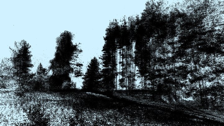 Forest- Point Cloud 3D Model