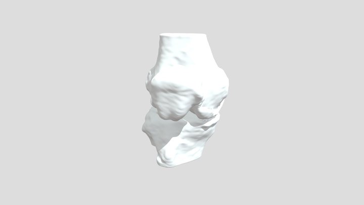 Segmentation_ Ma Pa Rt Bone 3D Model