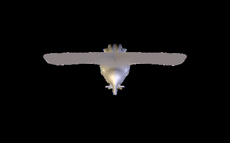 crow.obj 3D Model