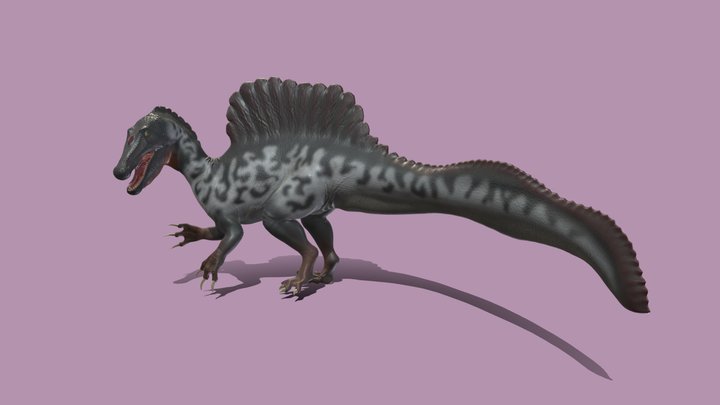 Spinosaurus black-white 3D Model