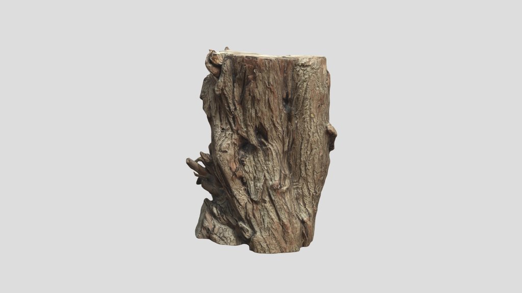 Tree Stump Scan