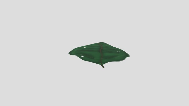 Leaf 2 3D Model