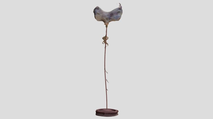 Os 3D Model