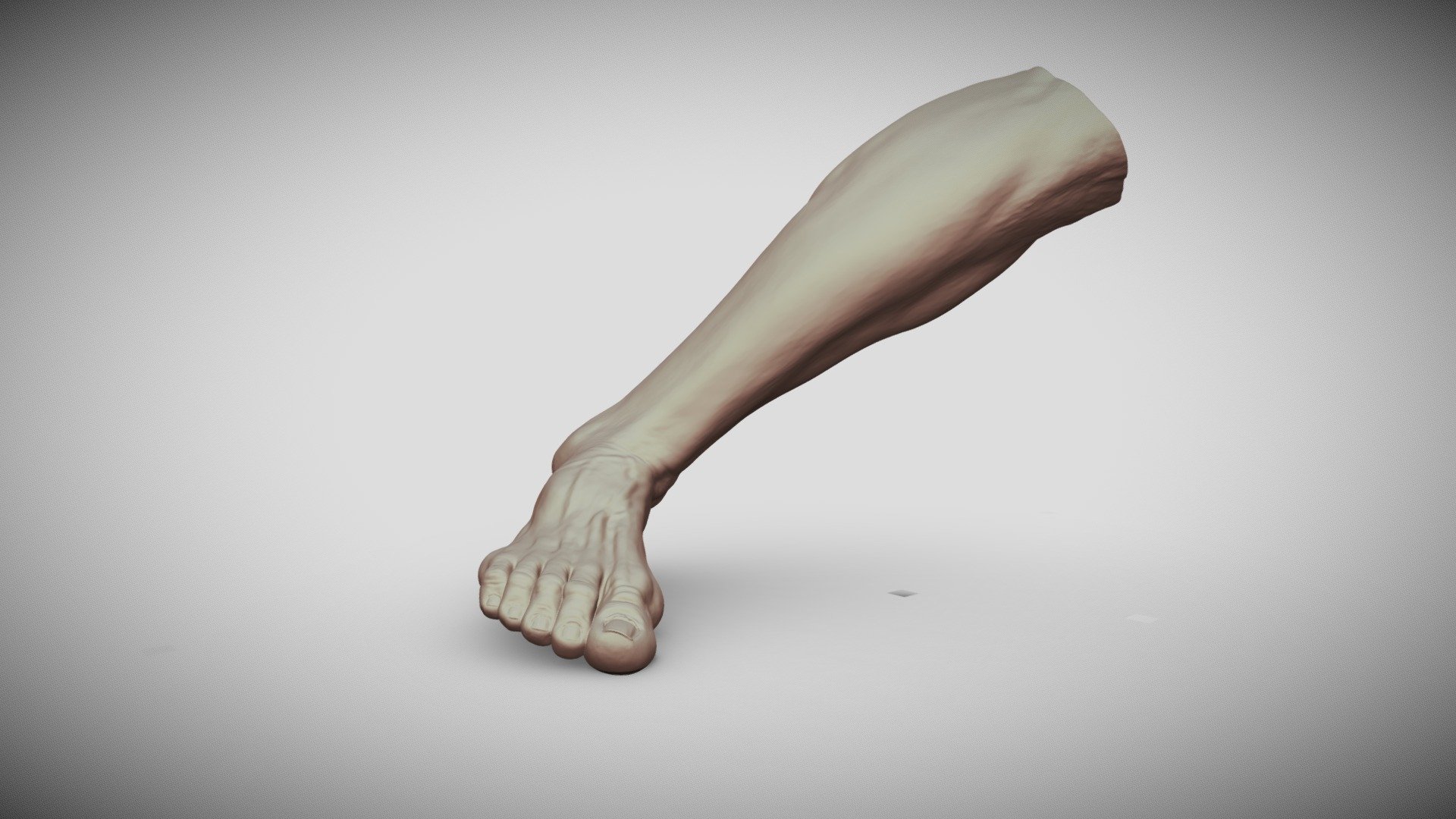 Male Foot 5 Buy Royalty Free 3d Model By Rumpelstiltskin Rumpelshtiltshin [86d0c45