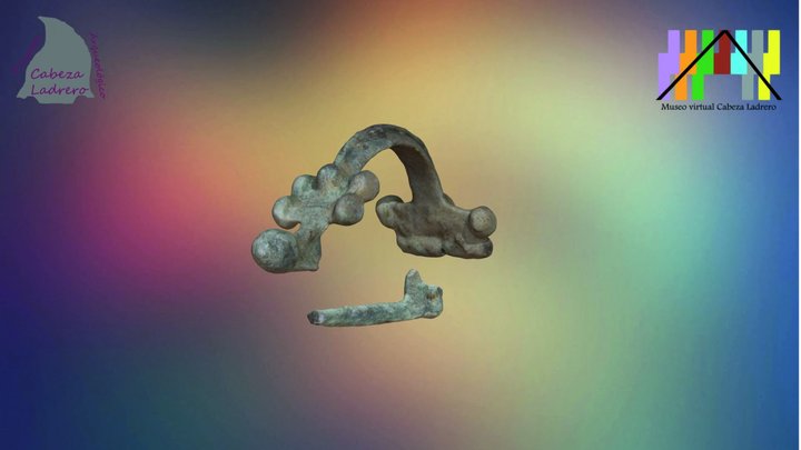 Fibula Iturissa 3D Model
