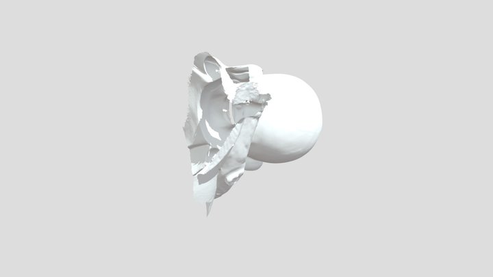01 3D Model