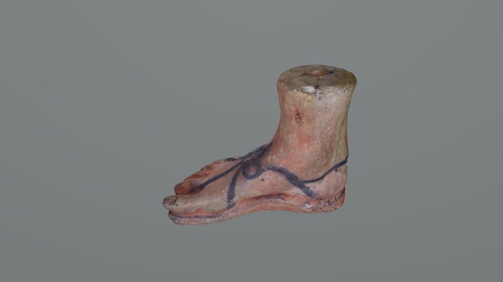 Wilcox Classical Museum, Terracotta Foot Votive 3D Model