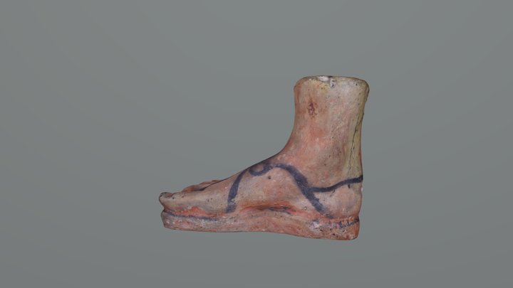 Wilcox Classical Museum, Terracotta Foot Votive 3D Model