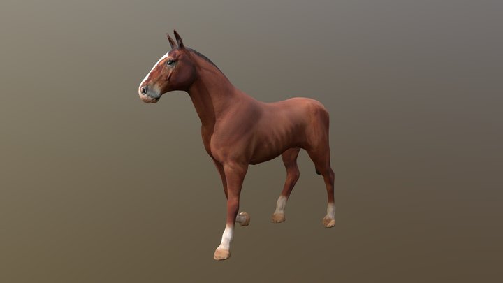 Horse 3D Model