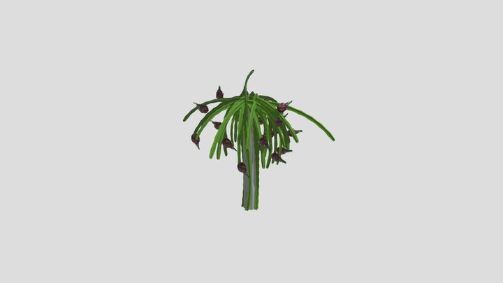 final_tree 3D Model
