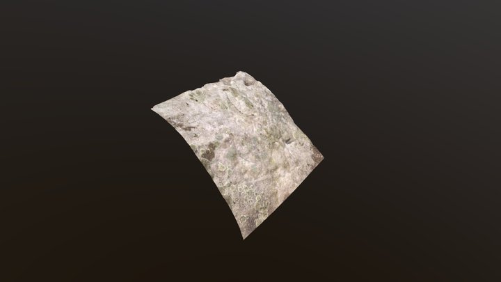 Rock surface_01 3D Model
