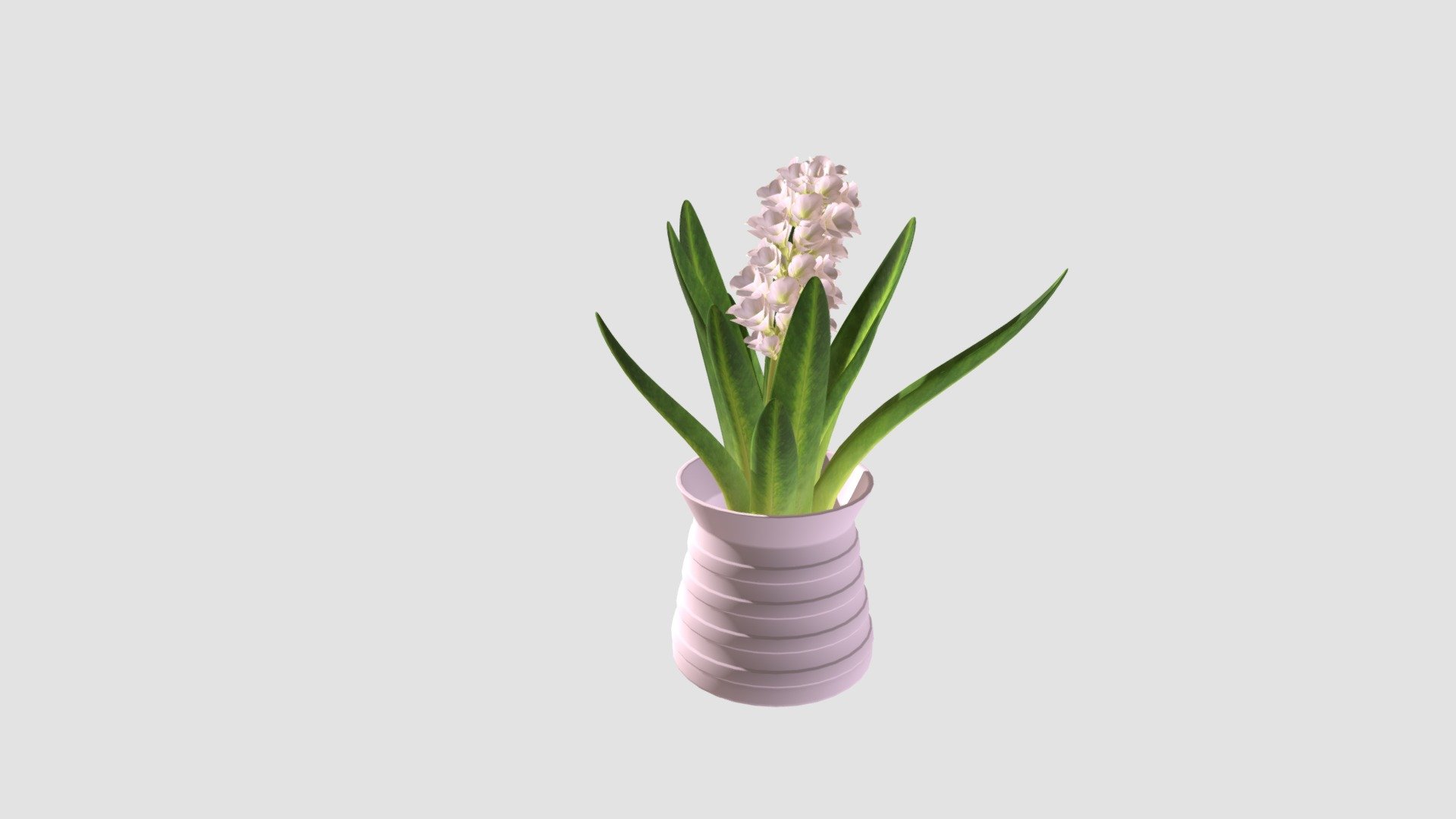 Plant - Buy Royalty Free 3D model by Evermotion [86dcaf1] - Sketchfab Store