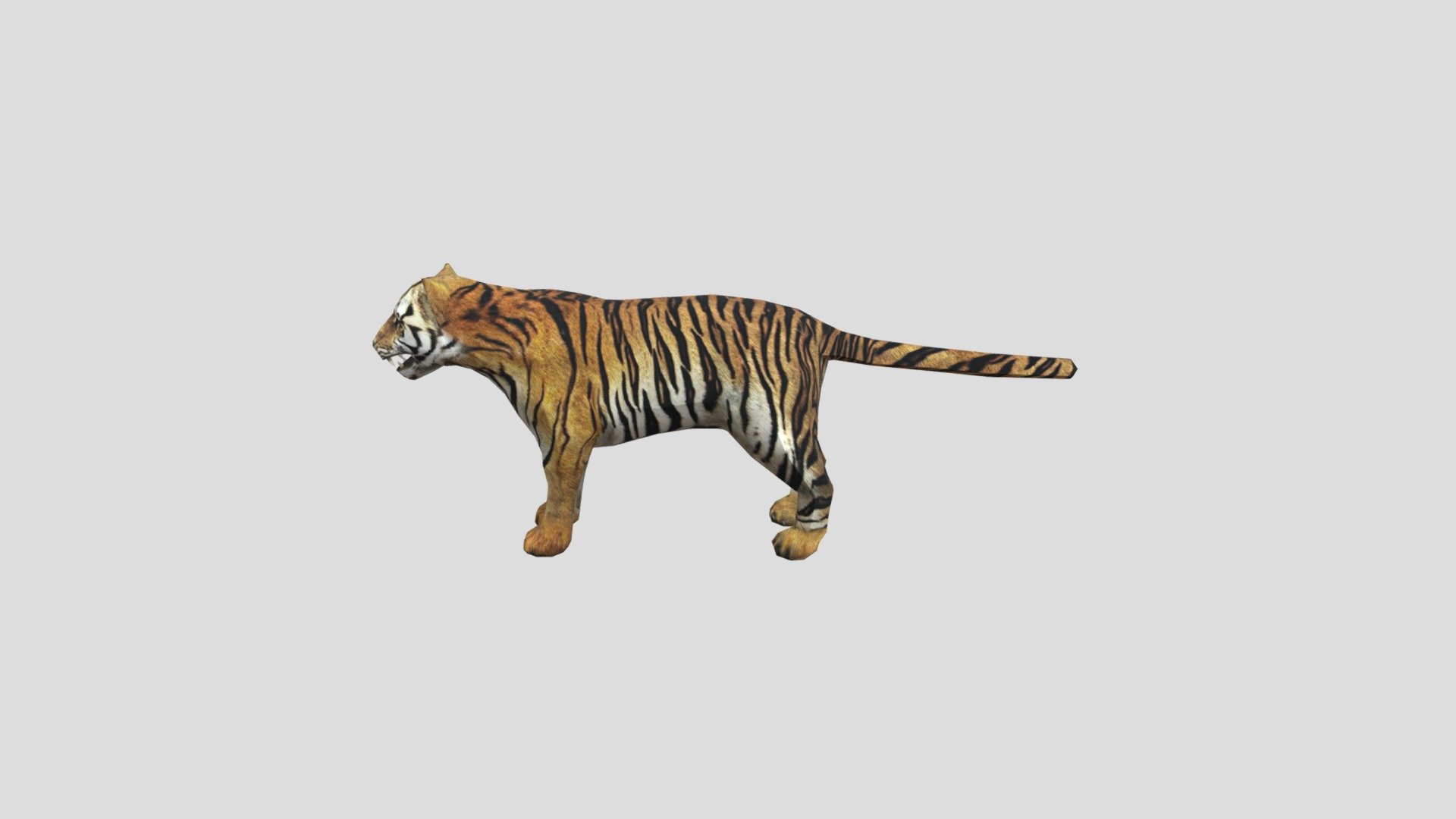 Tiger - Download Free 3D model by Batstarr (@Damia021) [86dd0f5 ...