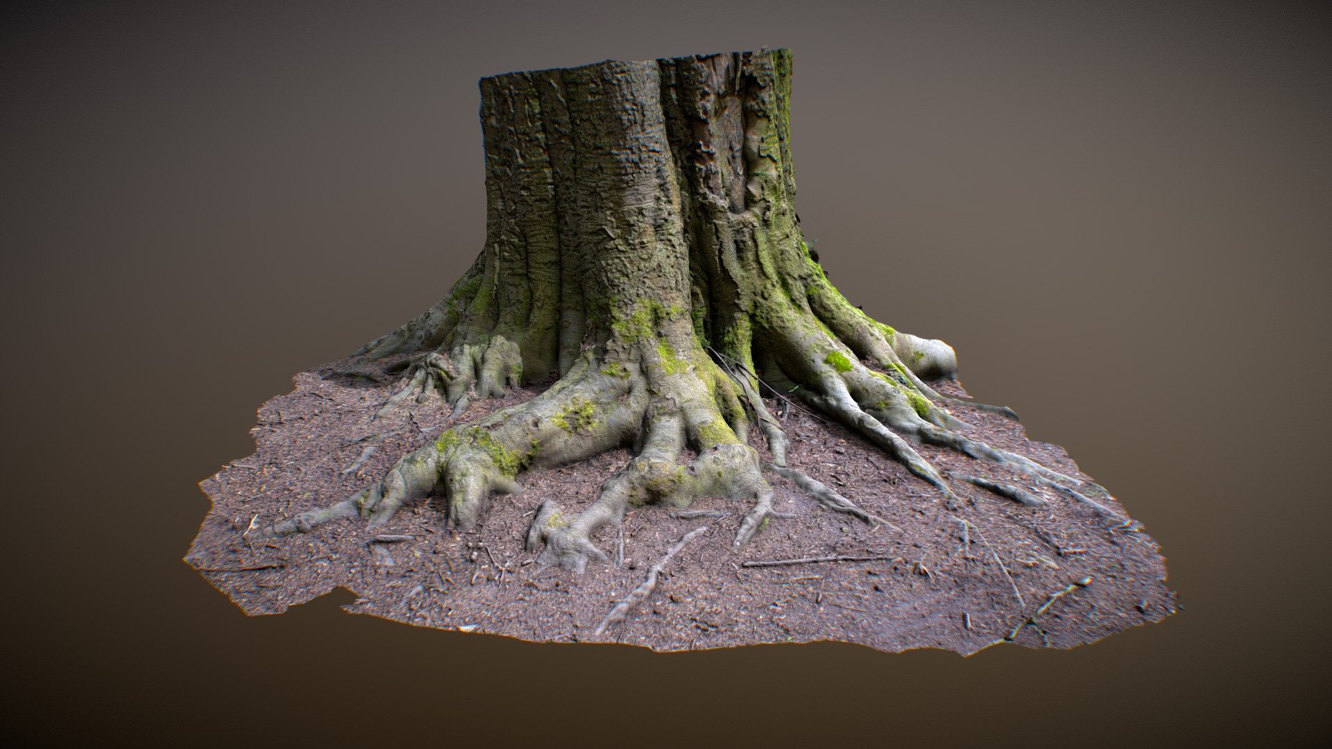 tree-trunk-photogrammetry-download-free-3d-model-by-pixelmitherer