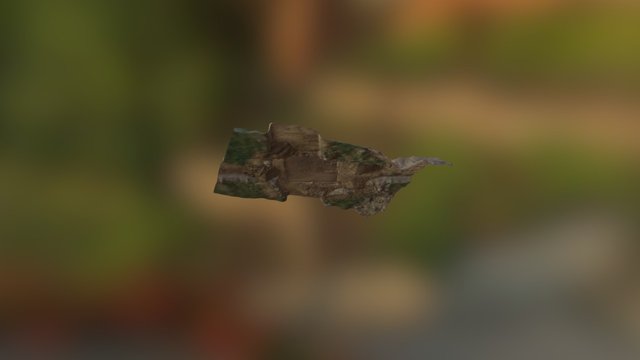 barak medium res 3D Model