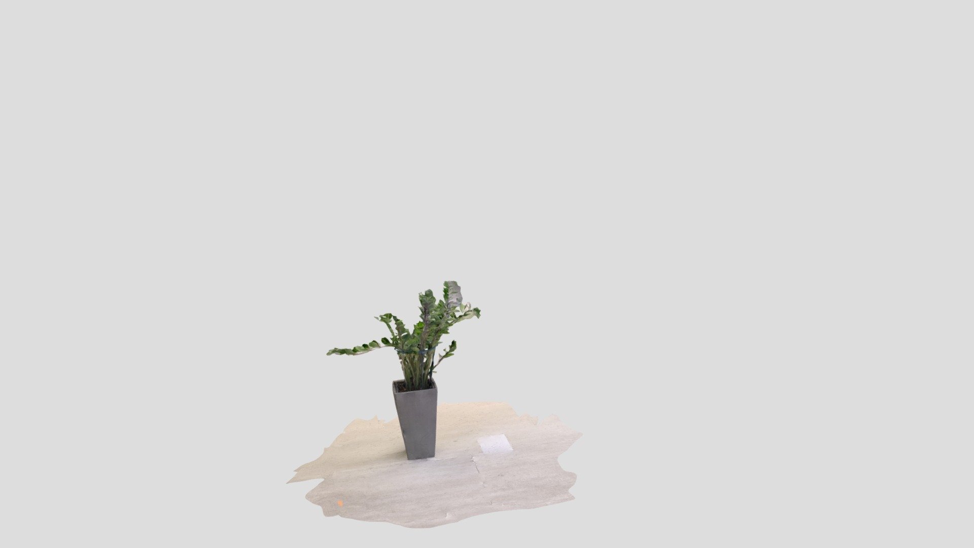 BigPlant — Sketchfab embed 3D viewer