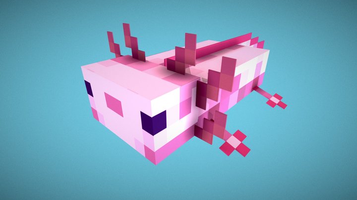 Minecraft Axolotl 💧 3D Model