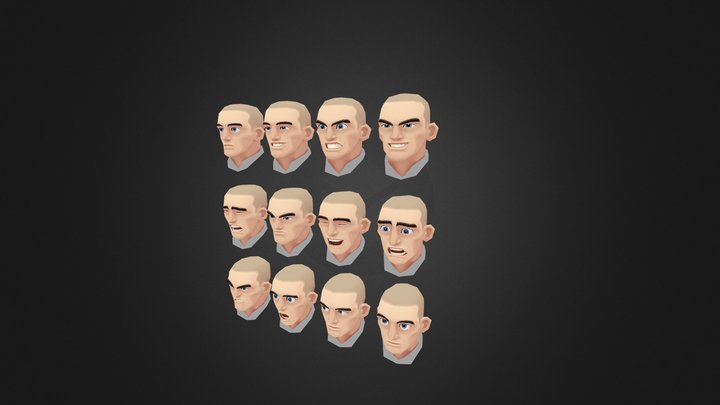Head Expressions 3D Model