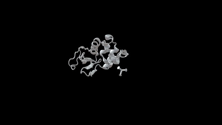 Hen egg white lysozyme 3D Model