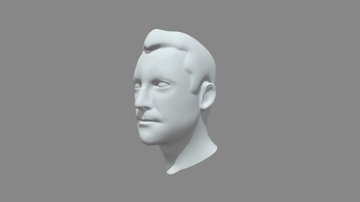 AGC Bust 3D Model