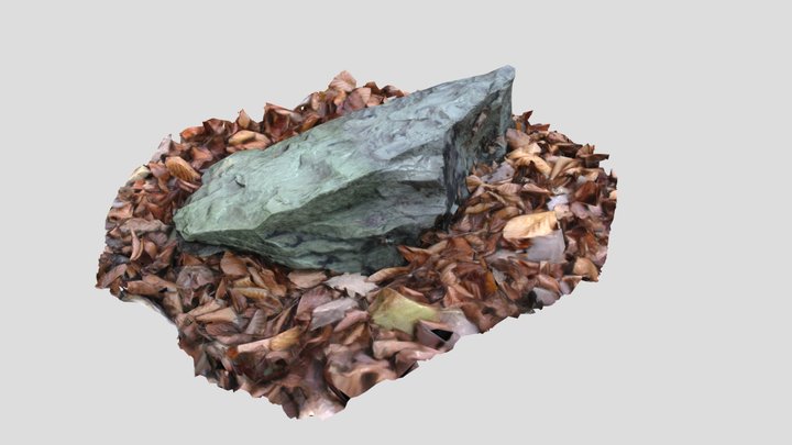 Rock Scan 012 3D Model