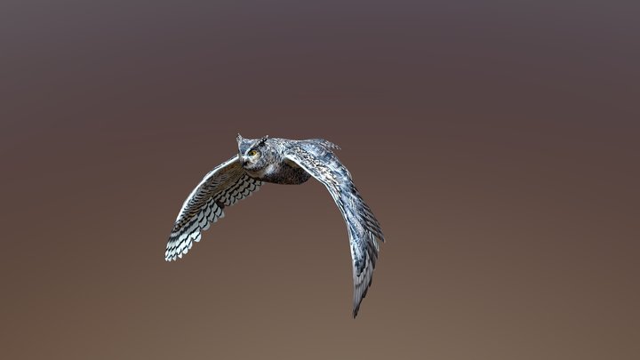 Owl – Free 3D Model STL