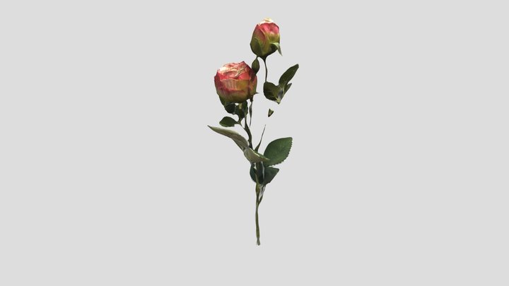 rose_gltf 3D Model