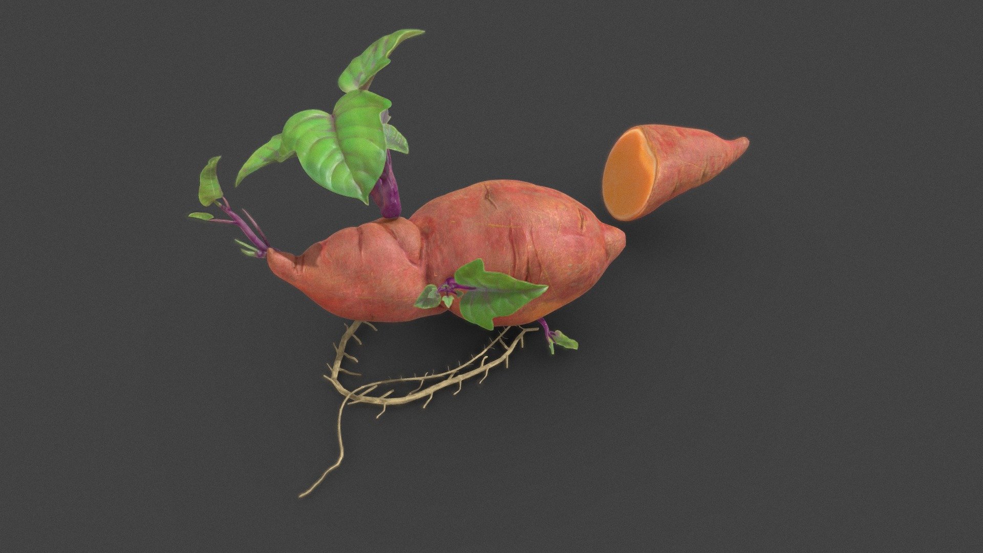 sweet potato — Sketchfab embed 3D viewer