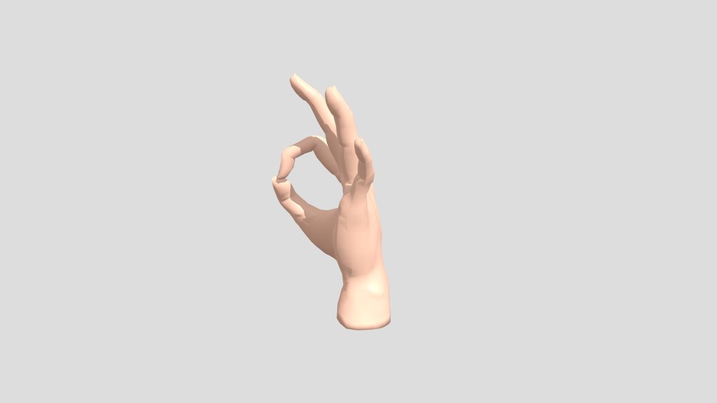 Anatomically Accurate Rigged Hand Model for XR