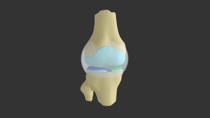 Structures with Fibula labeled 3D Model