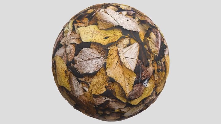 Forest Ground07 – Gratis 3D-model STL