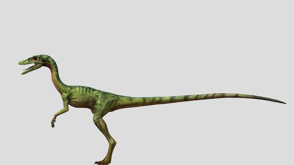 DracoWarrior's Compsognathus