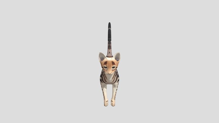 Walking Tiger Cat 3D Model