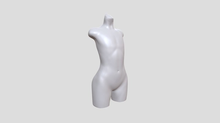 Torso study 3D Model