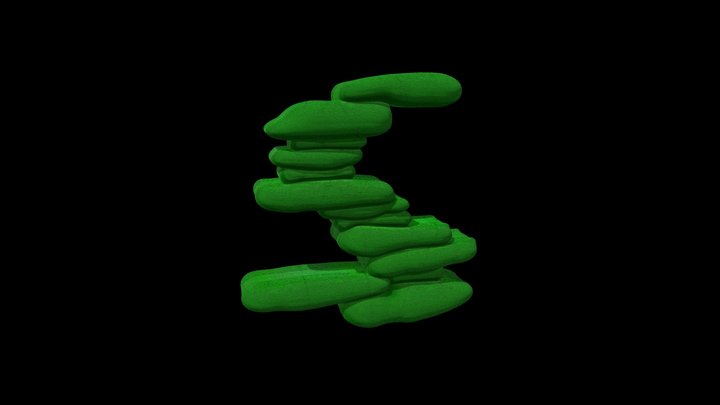 S TYPE 3D Model