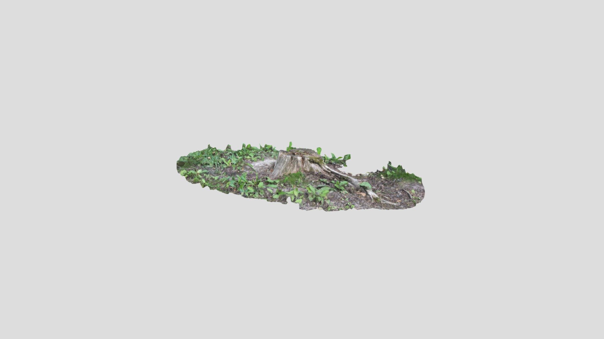 Rotting tree stump - Download Free 3D model by Mansku [8700109] - Sketchfab