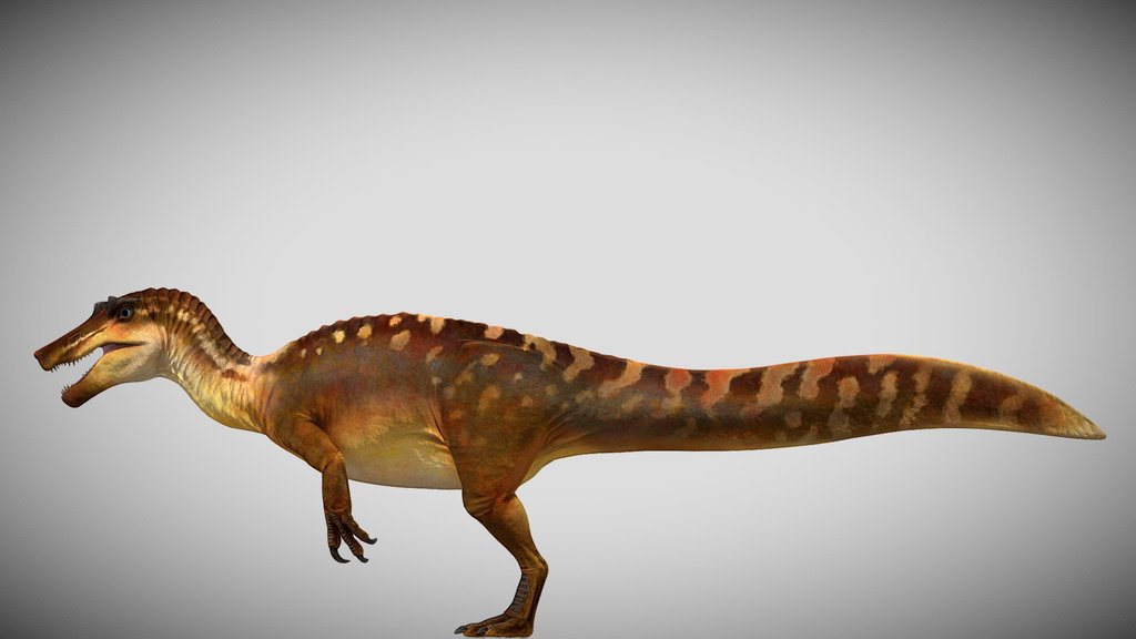 JWE3 Juvenile Irritator ALT