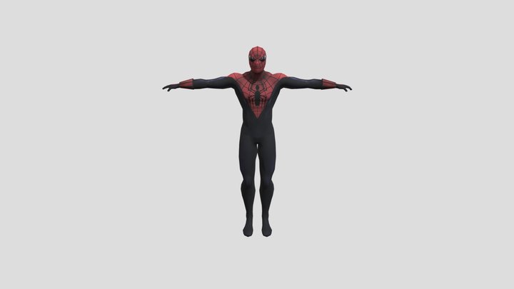 Alex Ross Spider-Man Suit 3D Model