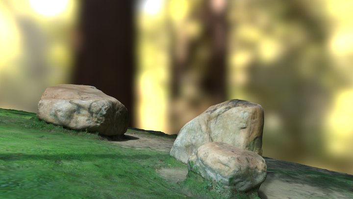Rock And Grassland 3D Model
